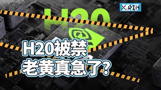 H20禁令始末，“中国特供版”AI芯片也被禁售，英伟达该何去何从?【差评君】