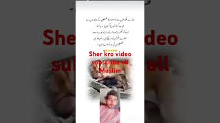 ya sub Muslim dekh raha ha aur sub chup ha #imamqasim #gheeyar #rumidarwaza