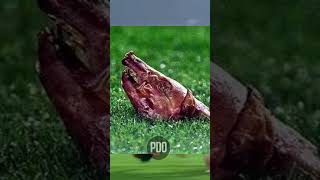 🚨 El Día que Figo Fue Llamado Traidor: ¡Clásico para la Historia!
