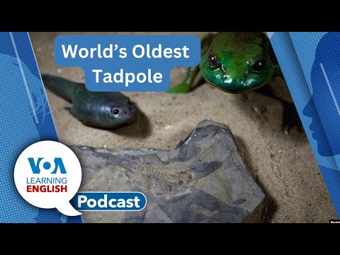 Protecting Bulbs, World’s Oldest Tadpole, Immigrant’s Children’s Education, Sneaking Around