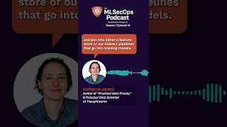 Data privacy questions related to AI & machine learning. #MLSecOps #aisecurity #airisks #ai