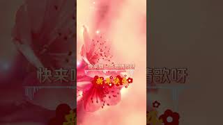 【龍飄飄~唱首新年歌】新年洗脑歌 🏮🏮經典賀歲老歌💥💥 2024 Chinese New Year Songs