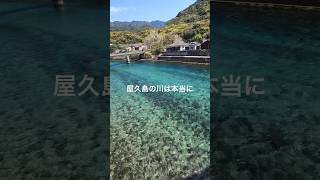 【♯7徒歩で挑む！屋久島一周】 #shorts #徒歩旅 #旅人 #屋久島 #挑戦