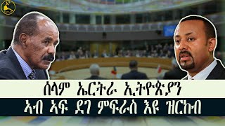 ERISAT: ኮሚቴ ርክባት ወጻኢ ባይቶ ኣሜርካ፡ ንህልው ኩነታት ቀርኒ ኣፍሪቃ ገምጊሙ #news #eritrea #tigray #ethiopia