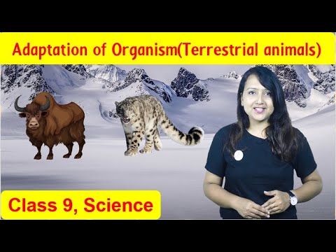 Adaptation of Organism(Terrestrial animals), Class 9, Science