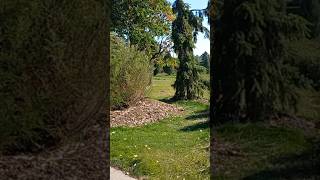 #парк #прогулка #прогулянка #природа #діти #україна #2023 #youtube #
