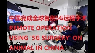 【海外华人直播 OCL】中国完成全球首例5G远程手术 REMOTE OPERATION USING '5G SURGERY'  ON ANIMAL IN CHINA | 桂林医学院