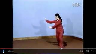 Li Tianji Bagua Lao8Zhang