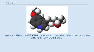メラトニン