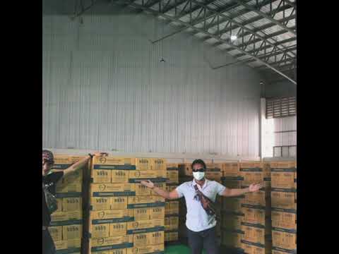 ISS Corporation co Ltd Nitrile Gloves