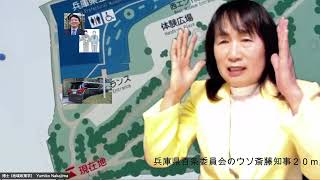 ＃兵庫県百条委員会のウソ　＃斎藤知事２０ｍ歩かされて怒鳴らないですから現場検証からバーチャル解説。百条委員会いけずやね！2025/2/27　③