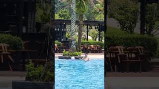 🌞⛱️🏝桃園威斯汀🏝the westin tashee resort taoyuan🌞⛱️