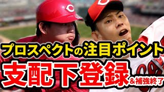 【祝】前川・辻が支配下登録！辻は即1軍デビュー！？2選手のここに注目！支配下登録枠70人で補強終了【広島東洋カープ】