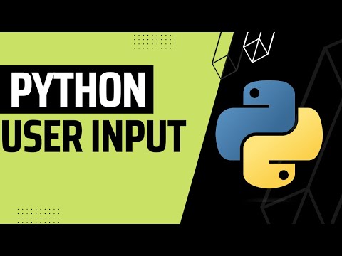 How To Take User Input in Python