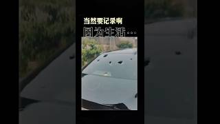 冰雹來襲，一次極端天氣將付出沉重經濟損失，是時候爲愛車安家了，逢51提前放大＂價＂#內地 #大陸 #中国 #極端氣候 #極端天氣 #冰雹 #天氣 #天氣預報 #天氣風險 #大灣區 #廣東省 #汽車