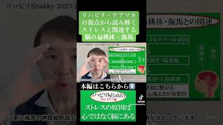 《ストレスケア》ストレスと関連する脳の扁桃体・海馬