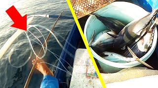 Skipjack Tuna Fish Catching More Fun! (Buhay ng Veteranong Mangingisda) | Fishing in the Philippines