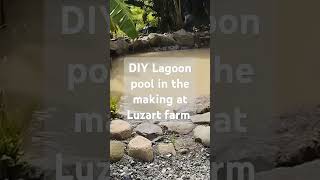 DIY Lagoon pool Luzart farm