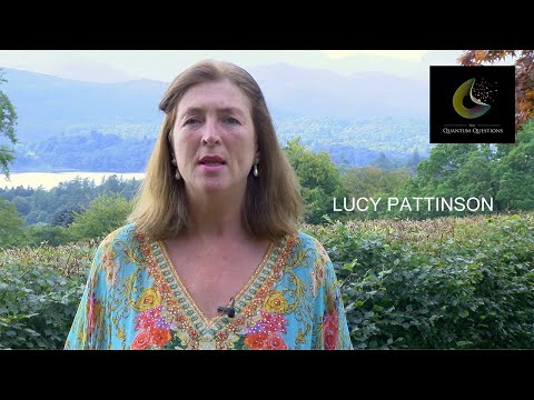 The Who Am I? Series | The Quantum Questions