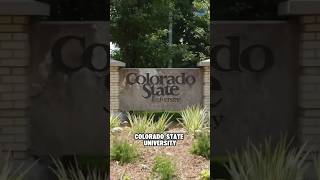 Colorado State University tutoring by Prestoexperts #shortsvideo
