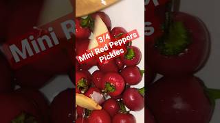 Mini Red Peppers Pickles #shortvideo #shorts #picklerecipe #pickles #fyp #pepper #pickling #pickle