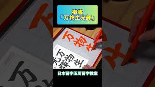 楷書「万物光輝を生ず」#shorts #日本習字 #calligraphy #書道 #アート #japanesecalligraphy #楷書