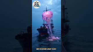 A Fisherman Got a Flying Pink Jelly Fish from the Deep #fishing #ai
