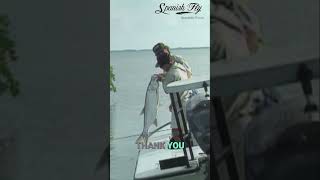 Respectful Release | “Thanks for the Dance” | Spanish Fly with Jose Wejebe
