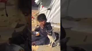 غزة # Hungry child in Gaza feading Cats #Gaza #ceasefirenow #freegaza