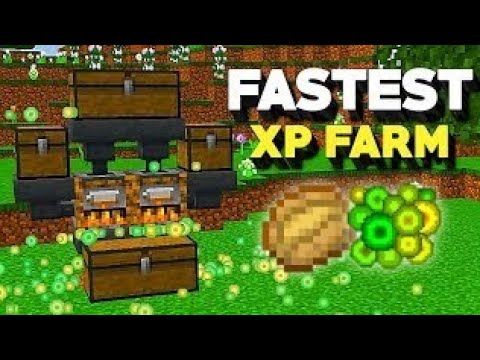 Xp Farm Minecraft || How To Make xp Farm In Minecraft