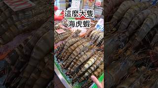 每次來竹圍漁港都可以遇到特大深海野生草蝦😅😅😅 【跟著藝術家來放風】#漁港 #海鮮 #草蝦 #海虎蝦 #手臂蝦 #黑虎蝦