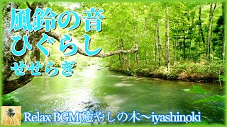 [夏の癒し]    風鈴の音、ひぐらしの鳴き声、川のせせらぎ。 Wind chime sound. Cicada. River.