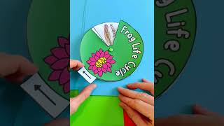 Life cycle of a frog - free downloadable activity
