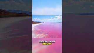 Lake Natron: The Blood-Red Lake That Turns Animals to Stone! #lakenatron