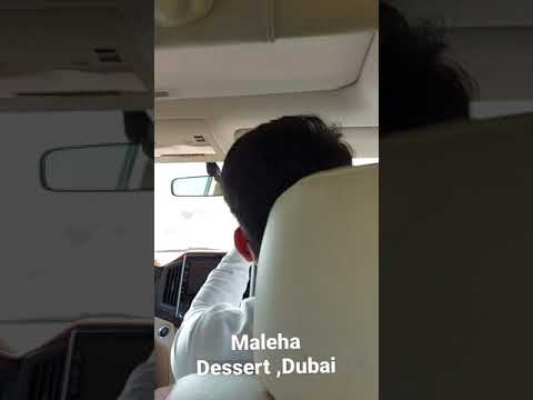 Maleha dessert Dubai #Dubai #Dessert #Dessert_safari #Dubai_view #Dxb #Dubai_life #Dubai_activity