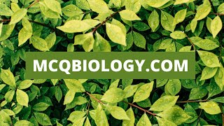 MCQ Biology :  Biology Multiple Choice Questions and Answers  | Life Science MCQs