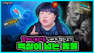 [이거알아?!-동물] 500년 넘게 산 동물🐙이 있다고??🔥🔥ㅋㅋㅋㅋ 100년 이상 살 수 있는 동물들이 이렇게 많아?!