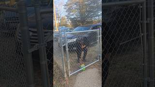 GHETTO AZ DELIVERY DRIVER LEFT FOOD BY GATE!! #funny #comedy #skit