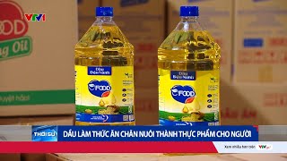Kinh hoàng dầu dùng cho thức ăn chăn nuôi nhưng lại được biến thành dầu ăn cho người | VTV24