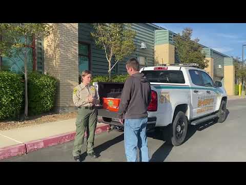 Placer County Sheriff’s Office Cadet Program