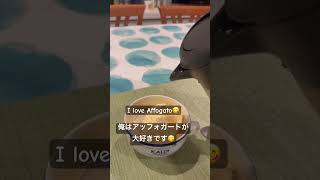 I love affogato😋 (Footage recorded at 4K + 120Fps) #affogato #dessert #updatevideo