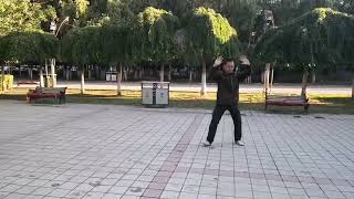 齐齐哈尔市解放门医院张立群65岁杨式太极拳
