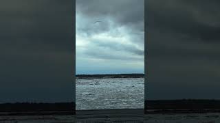 A sign of spring in Buffalo #buffalo #lake #chill #iceboom music is The Silent One by Ross Lara