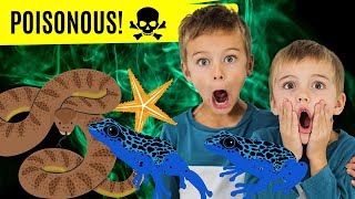 World's Most Poisonous Animals! (plus learn poison verses venom)