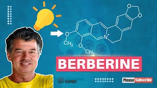 Berberine vs Metformin: Which is better for controlling pre-diabetes?