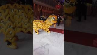 马来西亚森州桂青文艺协会龙狮团 2017新春表演。guiqing Malaysia liondance... Chinese New Year...