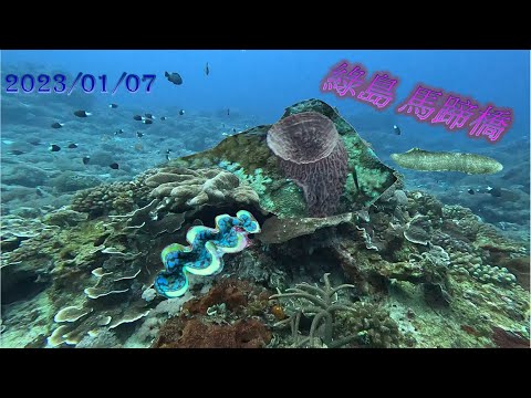 寒冬中船潛/綠島 馬蹄橋/水肺潛水。海水好溫暖 陸地上好冷 好想再下水歐