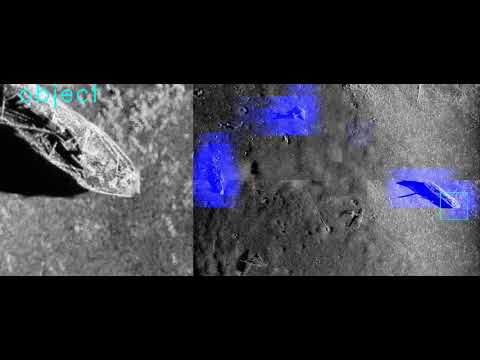 Object Detection: Seafloor Debris