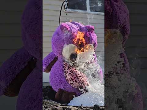 Burning a Big Plush Owl Stuffed Animal 🔥