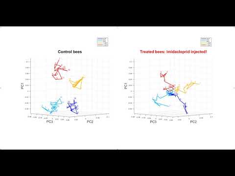 Collapse of the odour code in the honeybee brain under neonicutinoid exposure